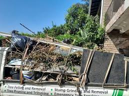 Best Commercial Junk Removal  in Walnut Hill, TN