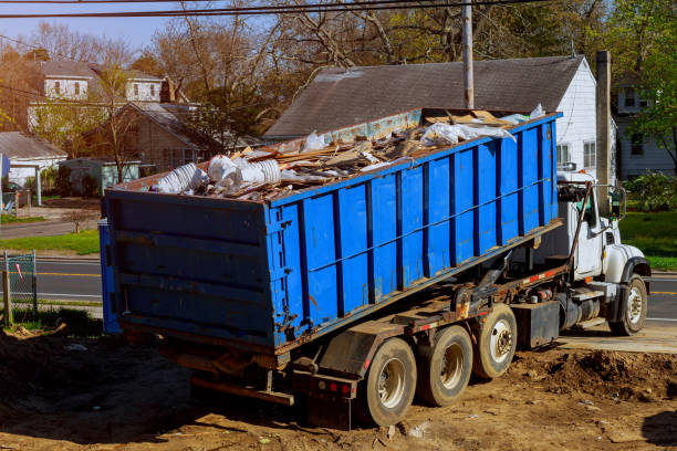 Best Basement Cleanout  in Walnut Hill, TN